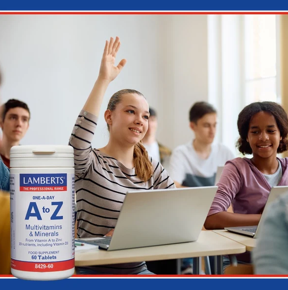 Lamberts One a Day A-Z Multi (60) - Image 4