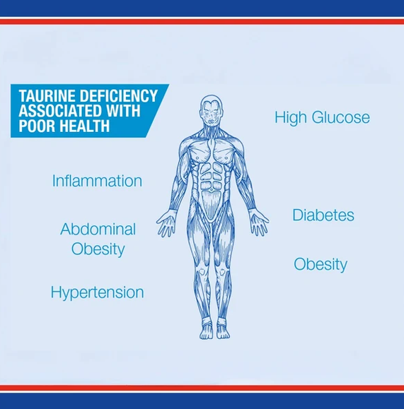 Lamberts Taurine 500mg (60) - Image 5